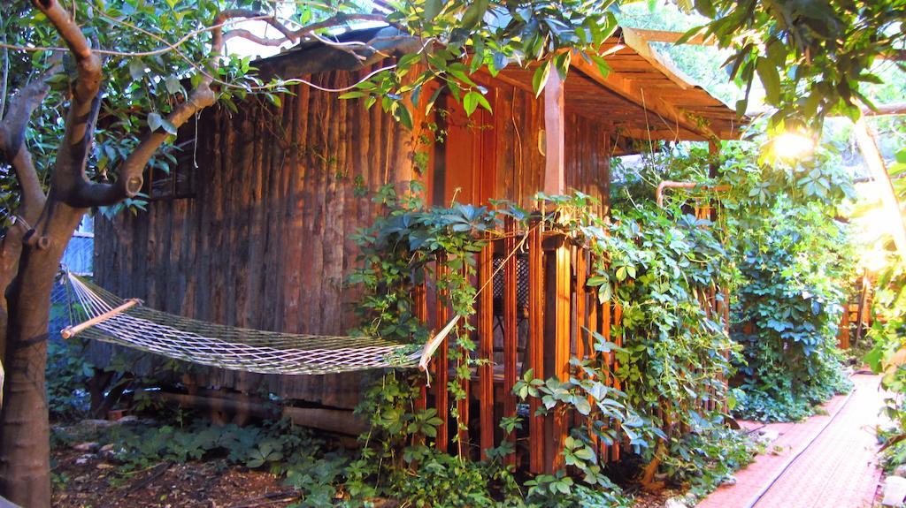 Olympos Natural Pansiyon Pokoj fotografie