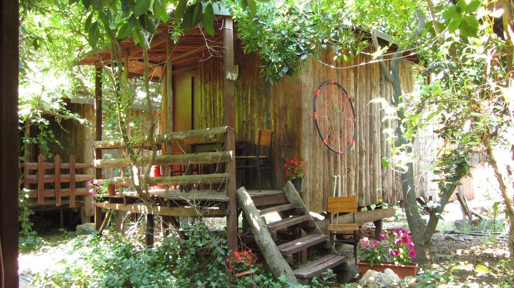 Olympos Natural Pansiyon Exteriér fotografie